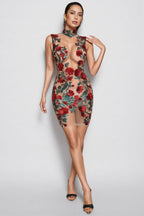 Isla Sequin Mesh Mini Dress