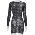 Fishnet see through long sleeve hollow out mini dress