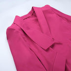 Feather turnover collar long sleeve v neck solid button mini dress