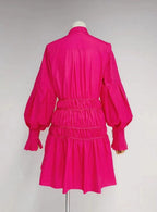 Lannie Solid Shirred Mini Dress
