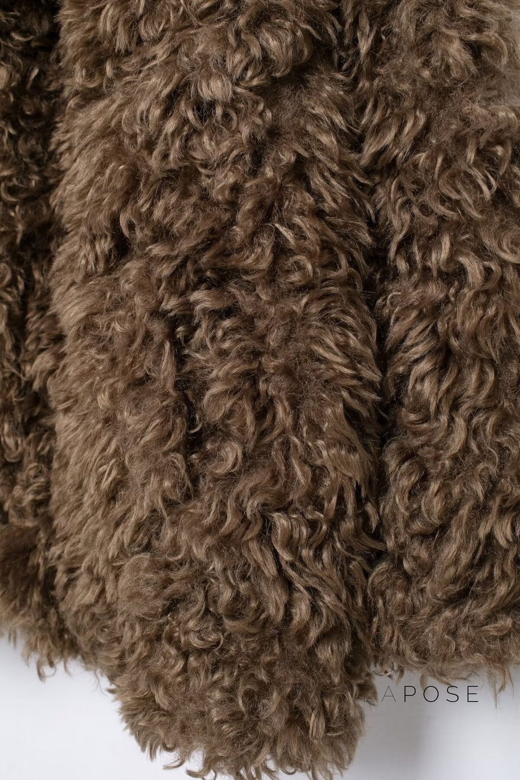 Alexzandria Faux Fur Teddy Coat