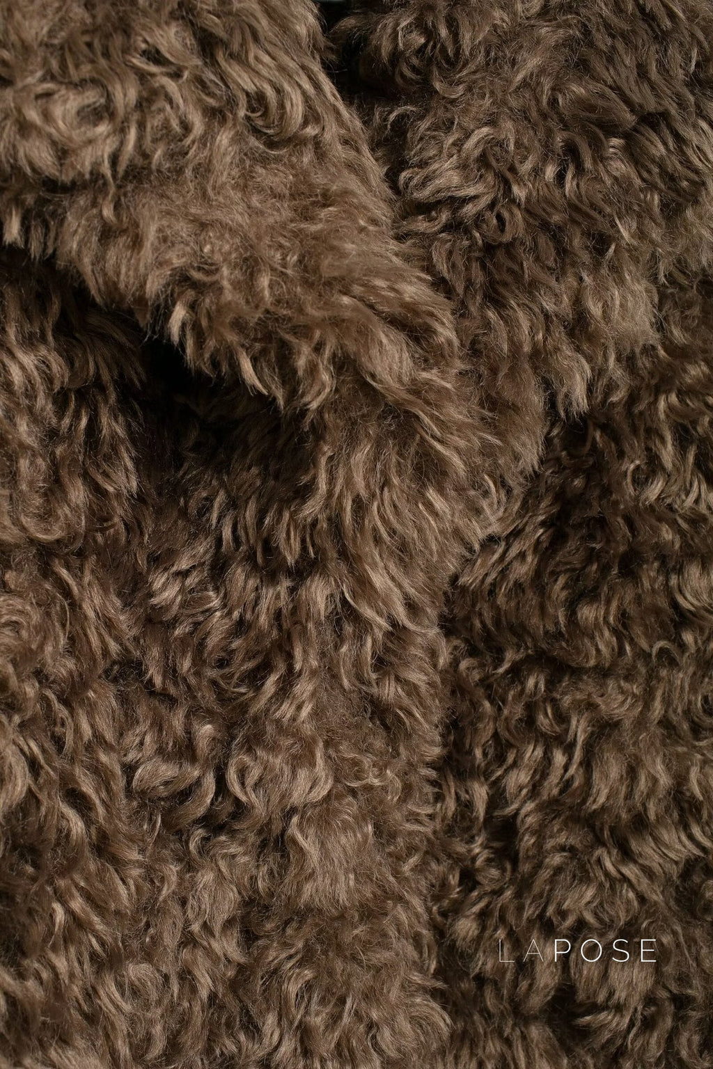 Alexzandria Faux Fur Teddy Coat