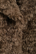 Alexzandria Faux Fur Teddy Coat