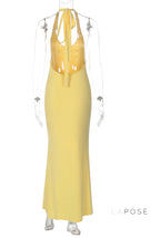 Holley Backless Halter Maxi Dress