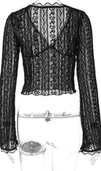 Kim Sheer Lace V-Neck Top