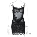 Whitleigh Lace Mesh Mini Dress