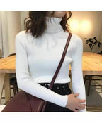 HighCollar Striped Knit Bottom Sweater