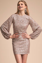 Sparkly Long Sleeve Round Neck Sequin Mini Dress - Black